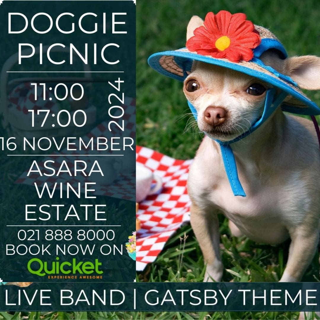 Doggie Picnic