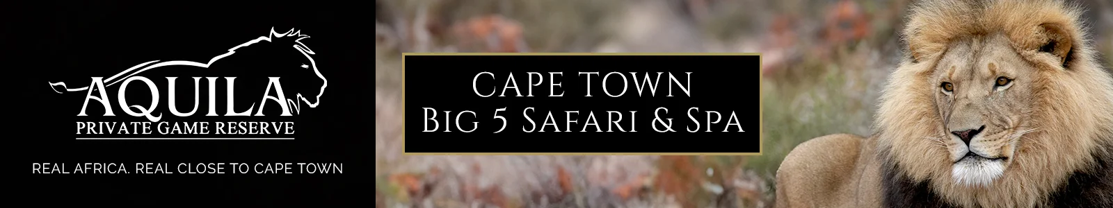 Aquila Banner September 2025