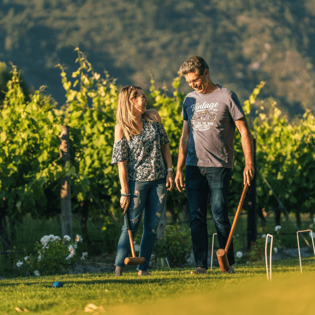 Galileo Cinema at Cape Winelands