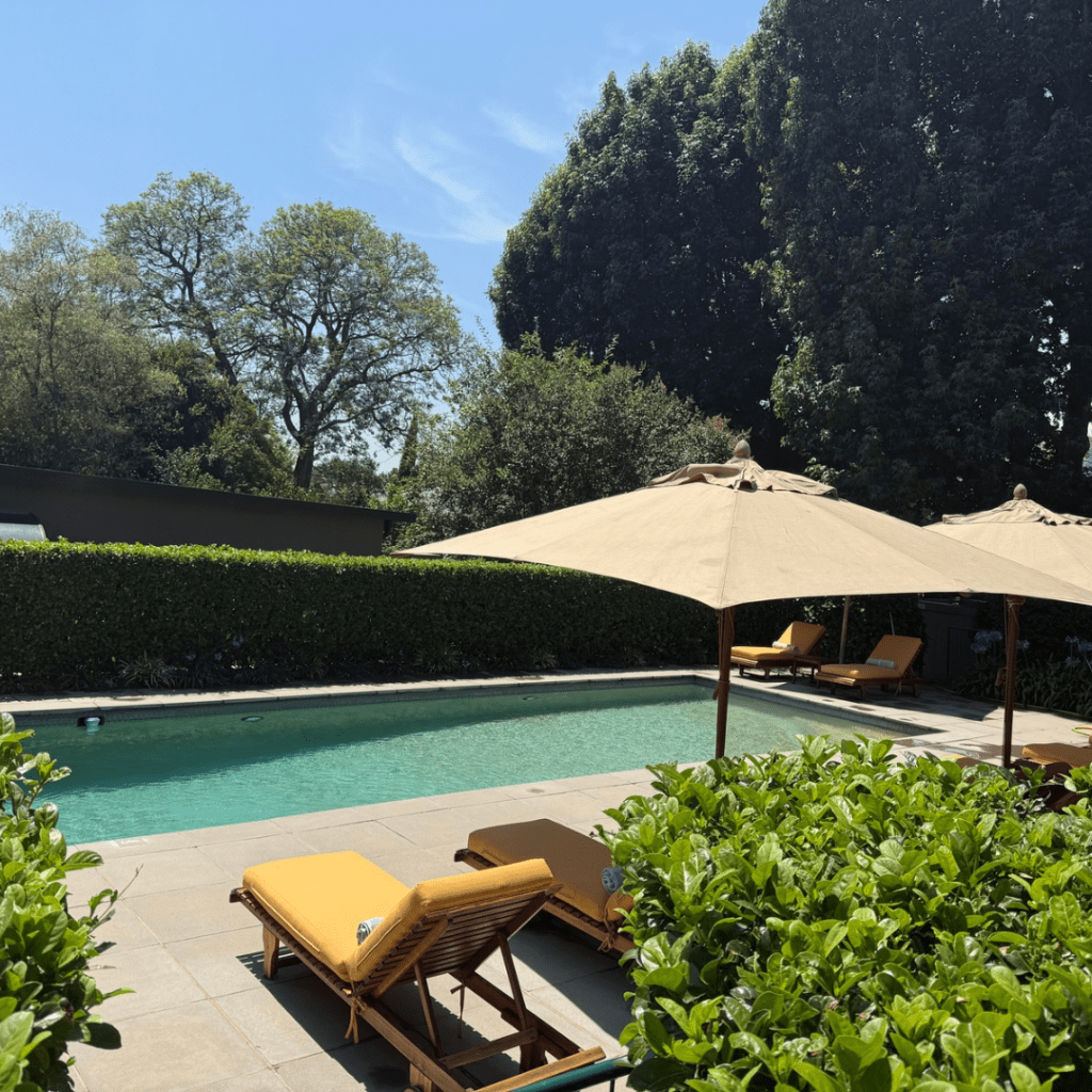 The Peech Hotel review