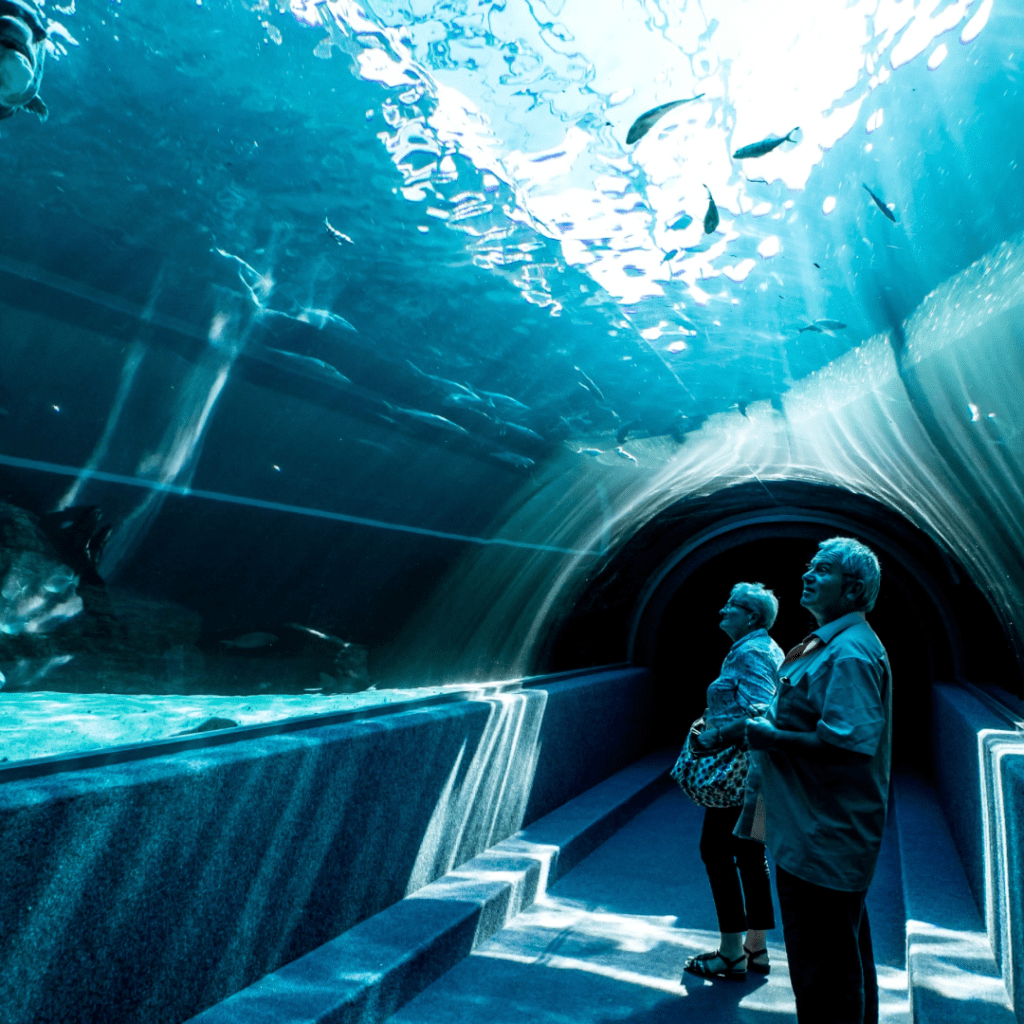 Grandparents in aquarium