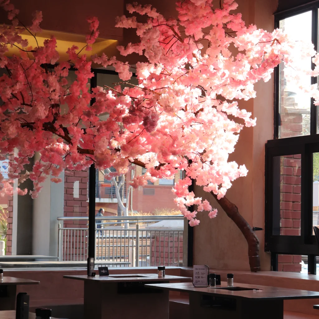 New restaurants in Pretoria