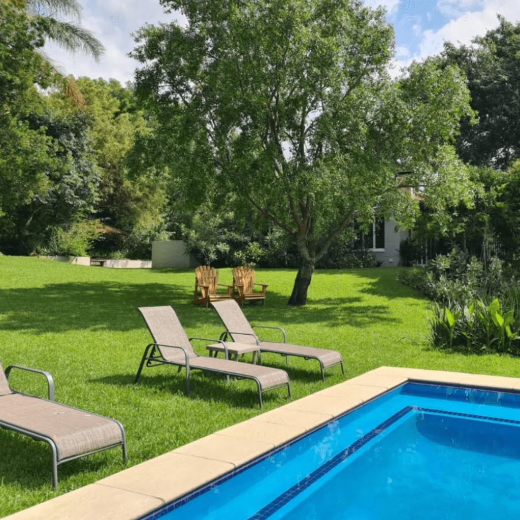 Pet friendly stays in Joburg