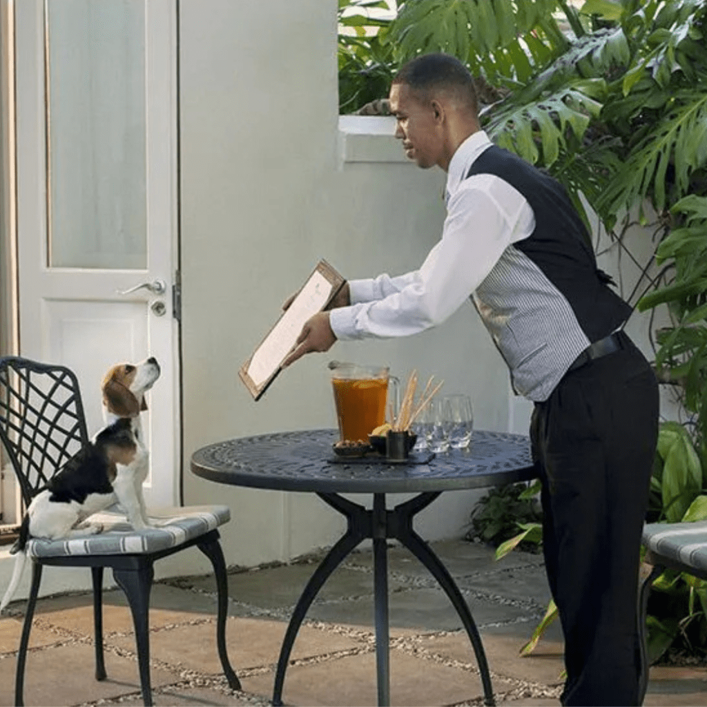 Pet friendly stays in Cape Town