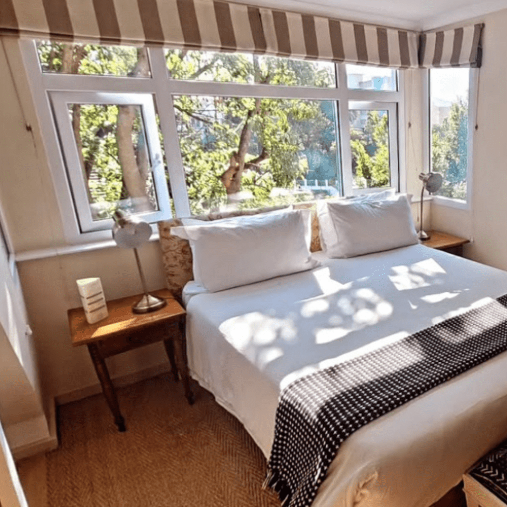 Pet friendly stays in Cape Town