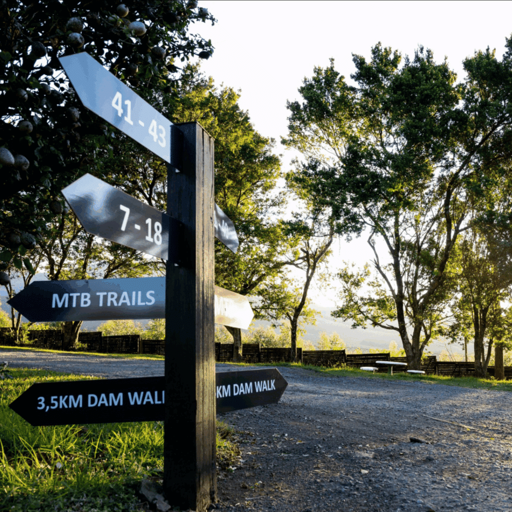 ANEW Ingeli Forest MTB