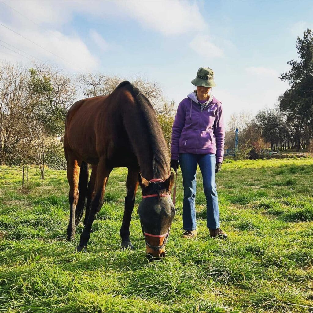 Kid Friendly Restaurants in Joburg - Delta Cafe Horse