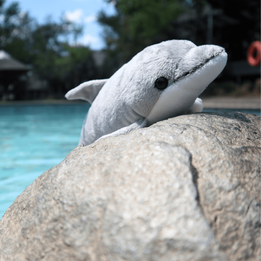 WWF Symbolic Adoption