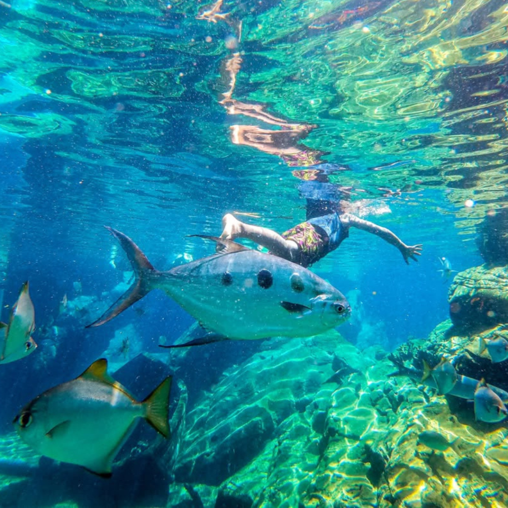 UShaka Marine World