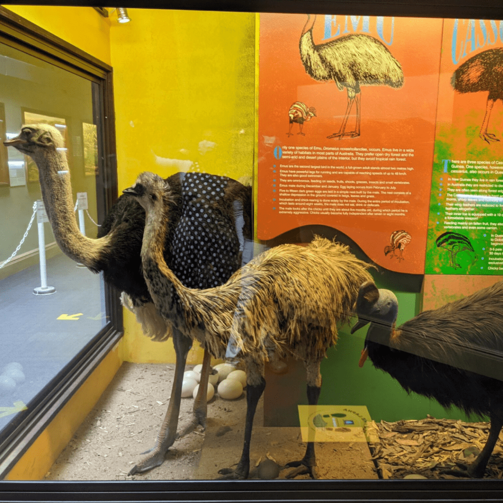 Durban Natural Science Museum