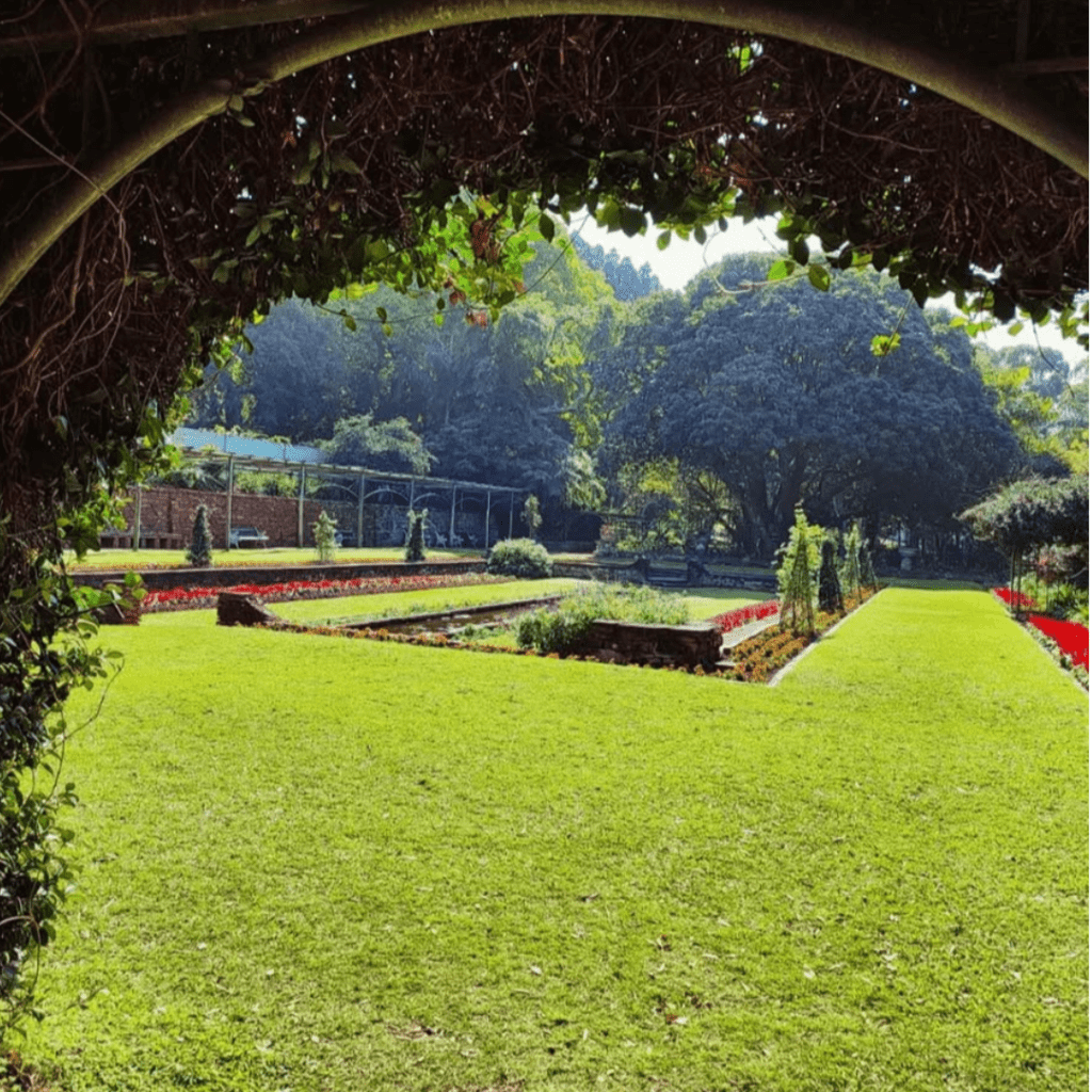 Durban Botanical Gardens as another Durban Tourist Attraction