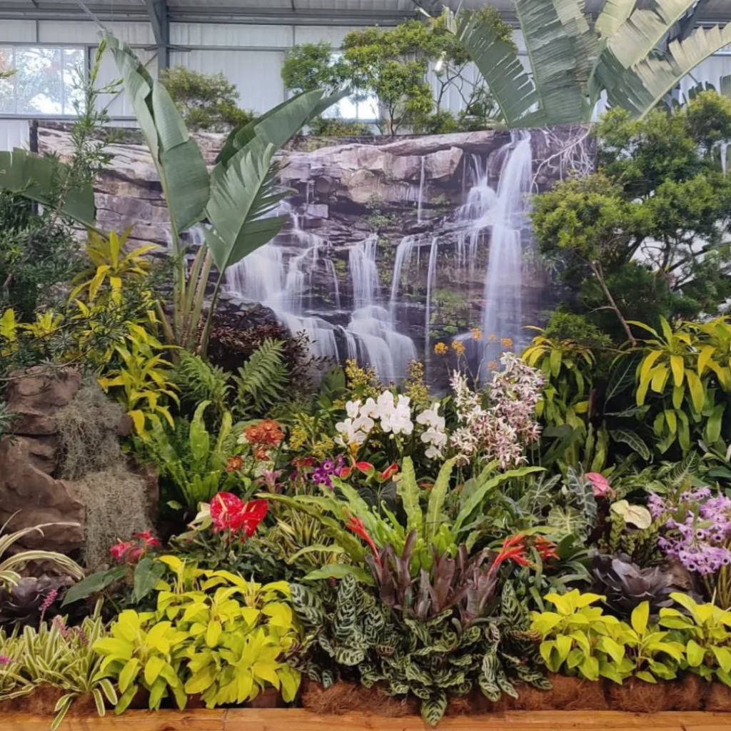 Durban Botanical Gardens as another Durban Tourist Attraction
