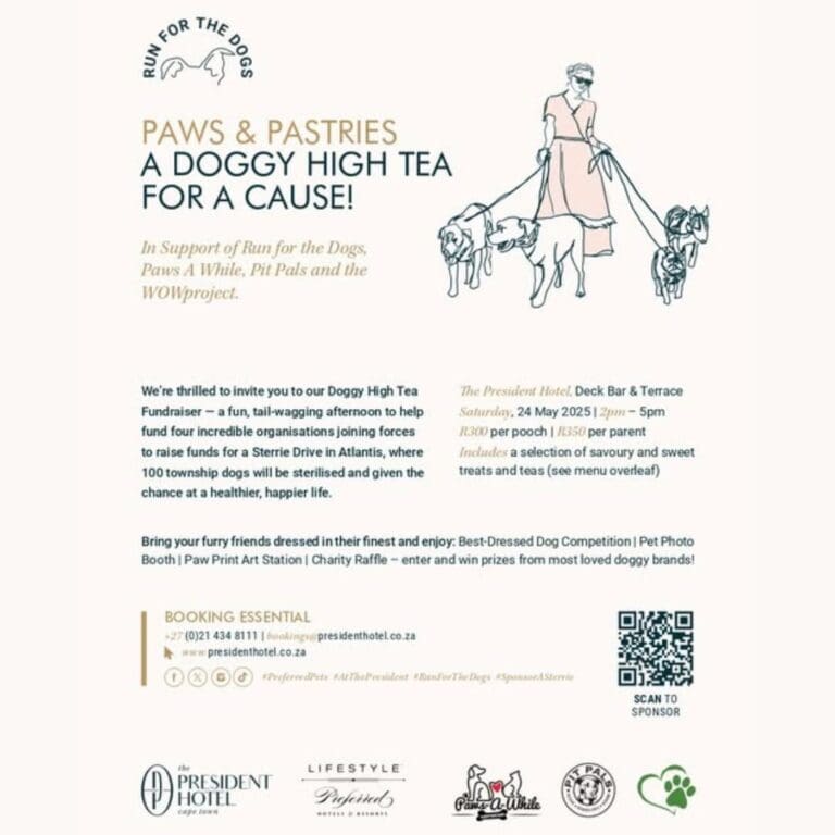 Doggy High Tea
