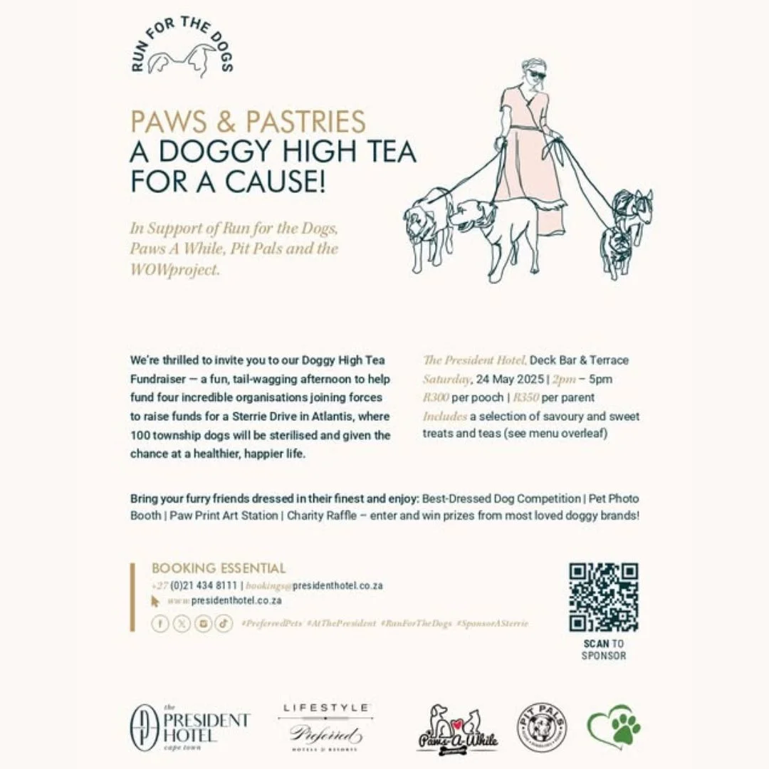 Doggy High Tea