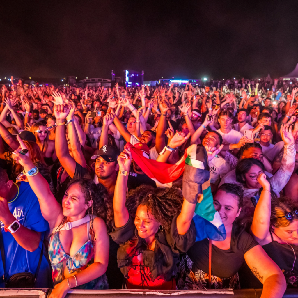 ULTRA South Africa Crowd