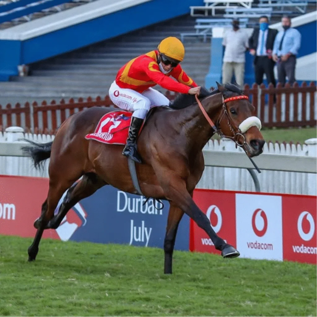 Hollywoodbets Durban July 2025 favourite, EIGHT ON EIGHTEEN