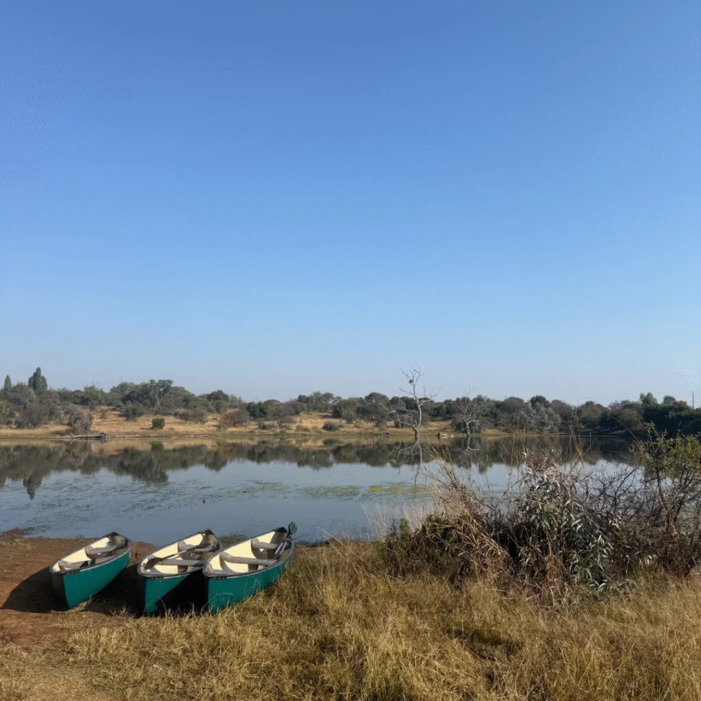 Finfoot Lake Reserve Canoeing