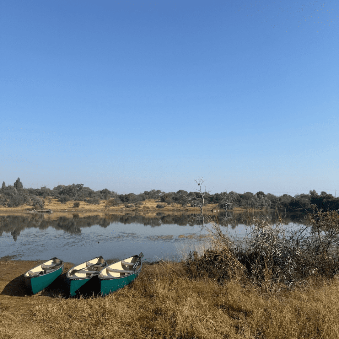 Finfoot Lake Reserve Canoeing