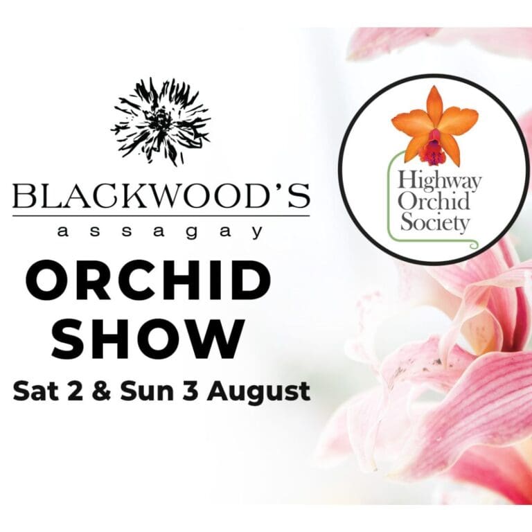 Orchid Show