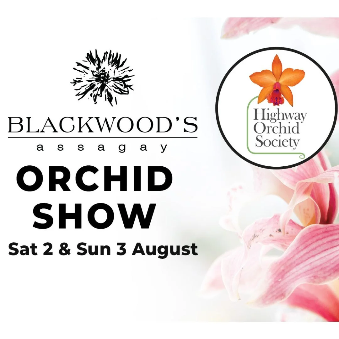 Orchid Show