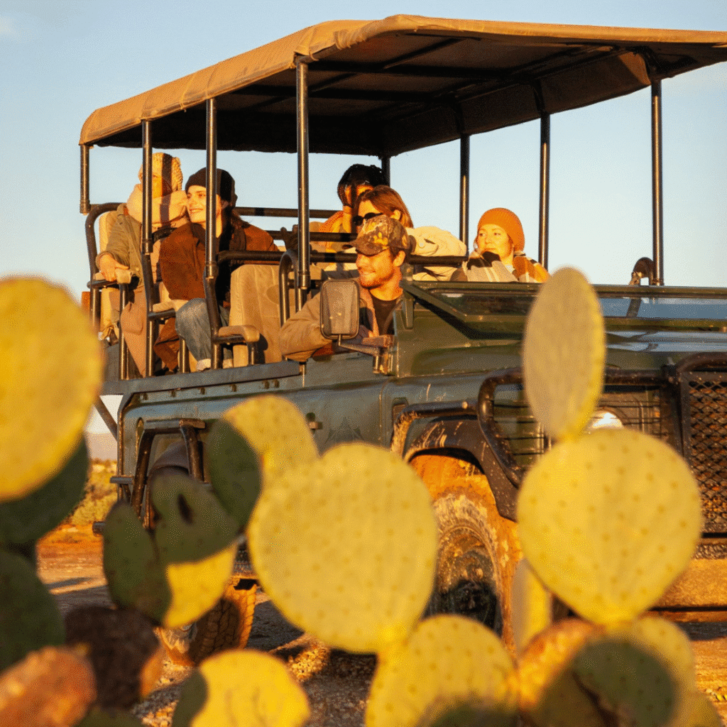 Inverdoorn Game Drives