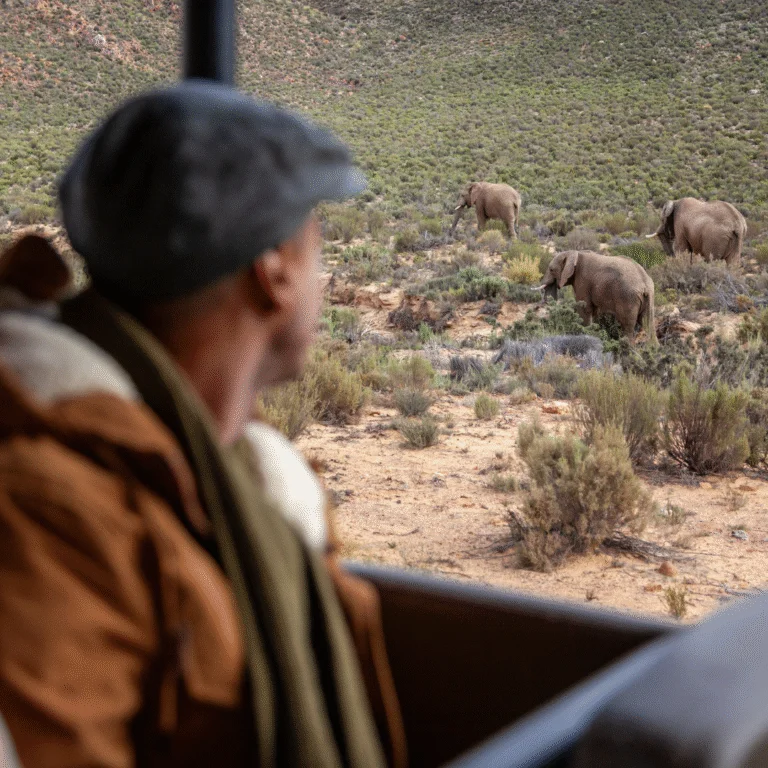 Aquila Safari Winter game Drives