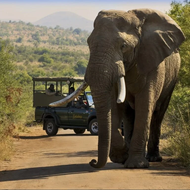 Bakubung and Tshukudu Bush Lodges