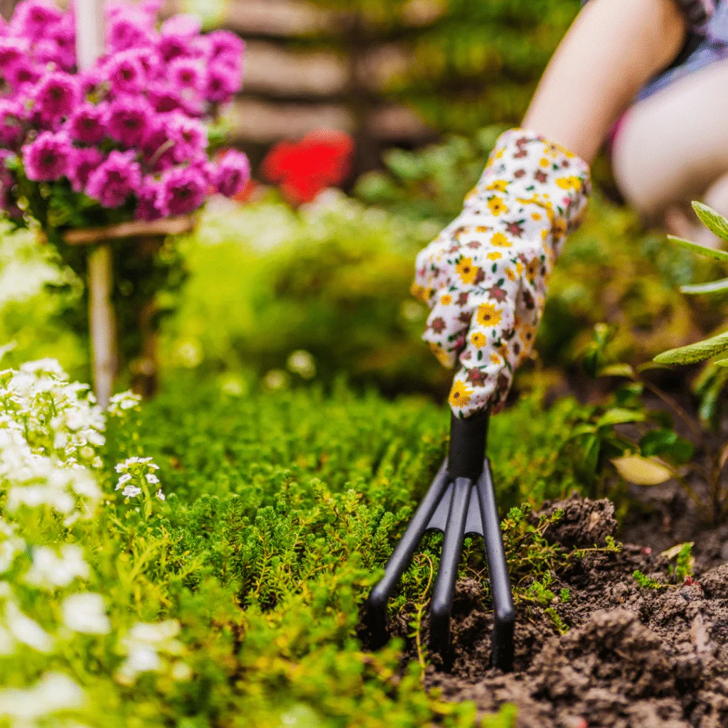 Spring Habits and Hobbies