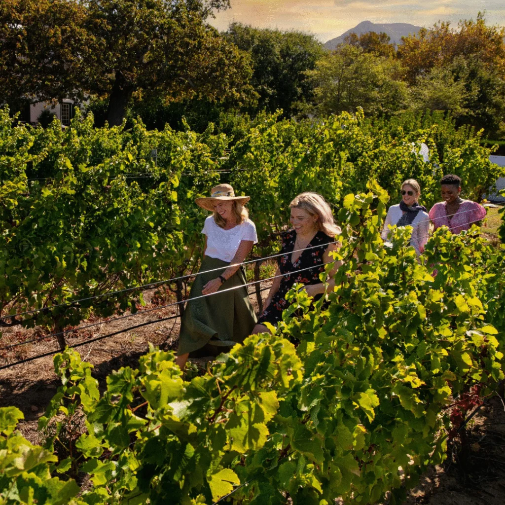 Heritage hotels in South Africa Steenberg