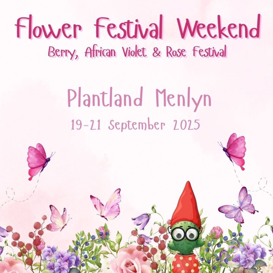 Flower Festival