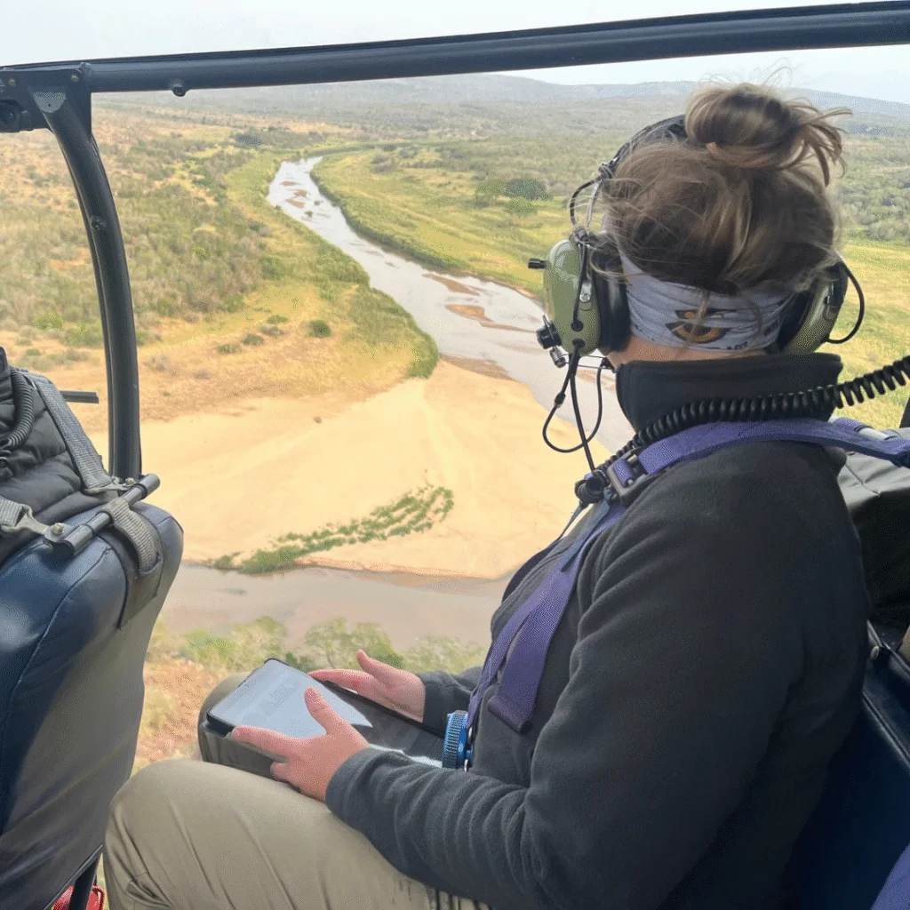 First Hooded Vulture nest spotted in KZN after an aerial survey
