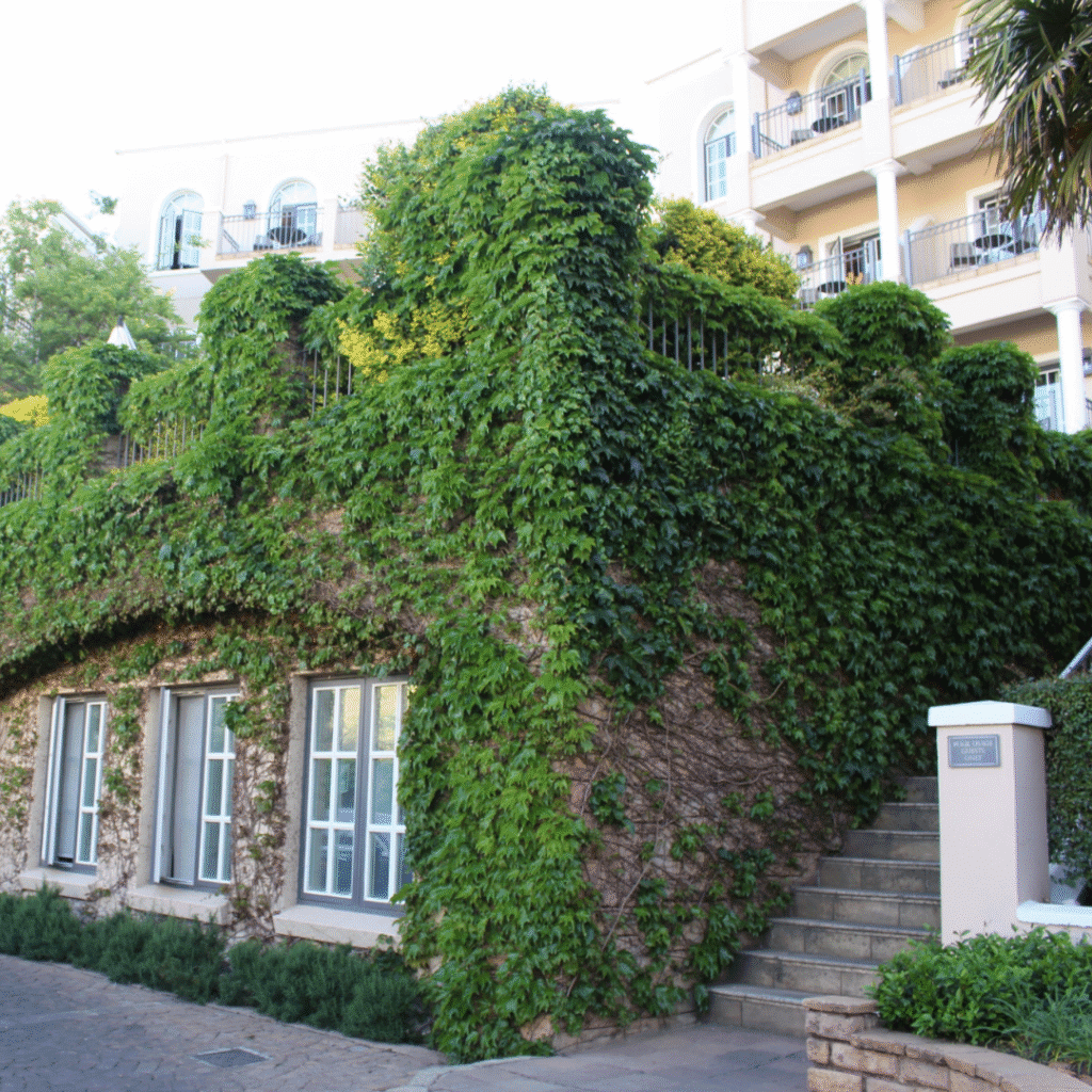 Four Seasons Hotel The Westcliff Johannesburg