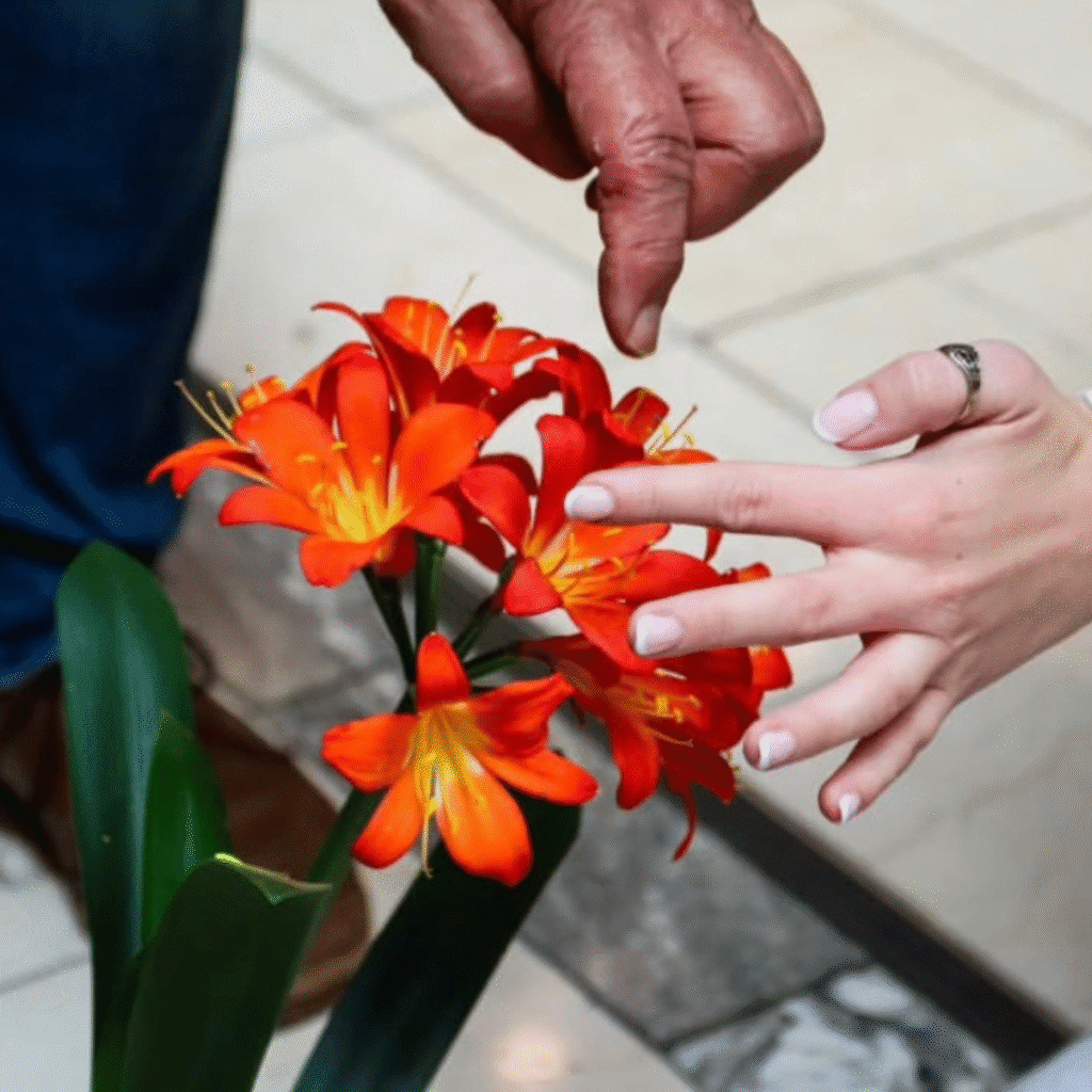 Andre Swart teaching a collector how to pollinate their new clivia