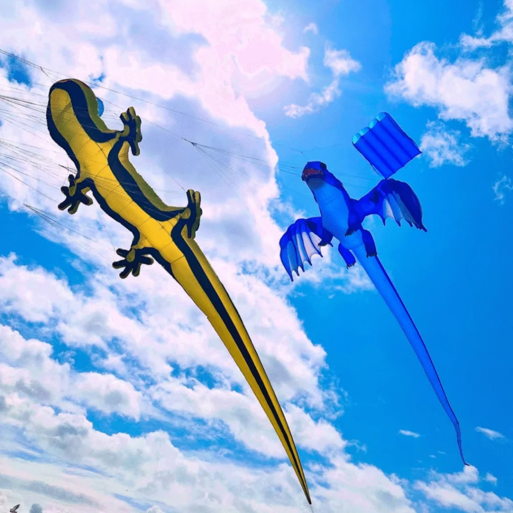 Cape Town International Kite Festival spreads awareness around mental health