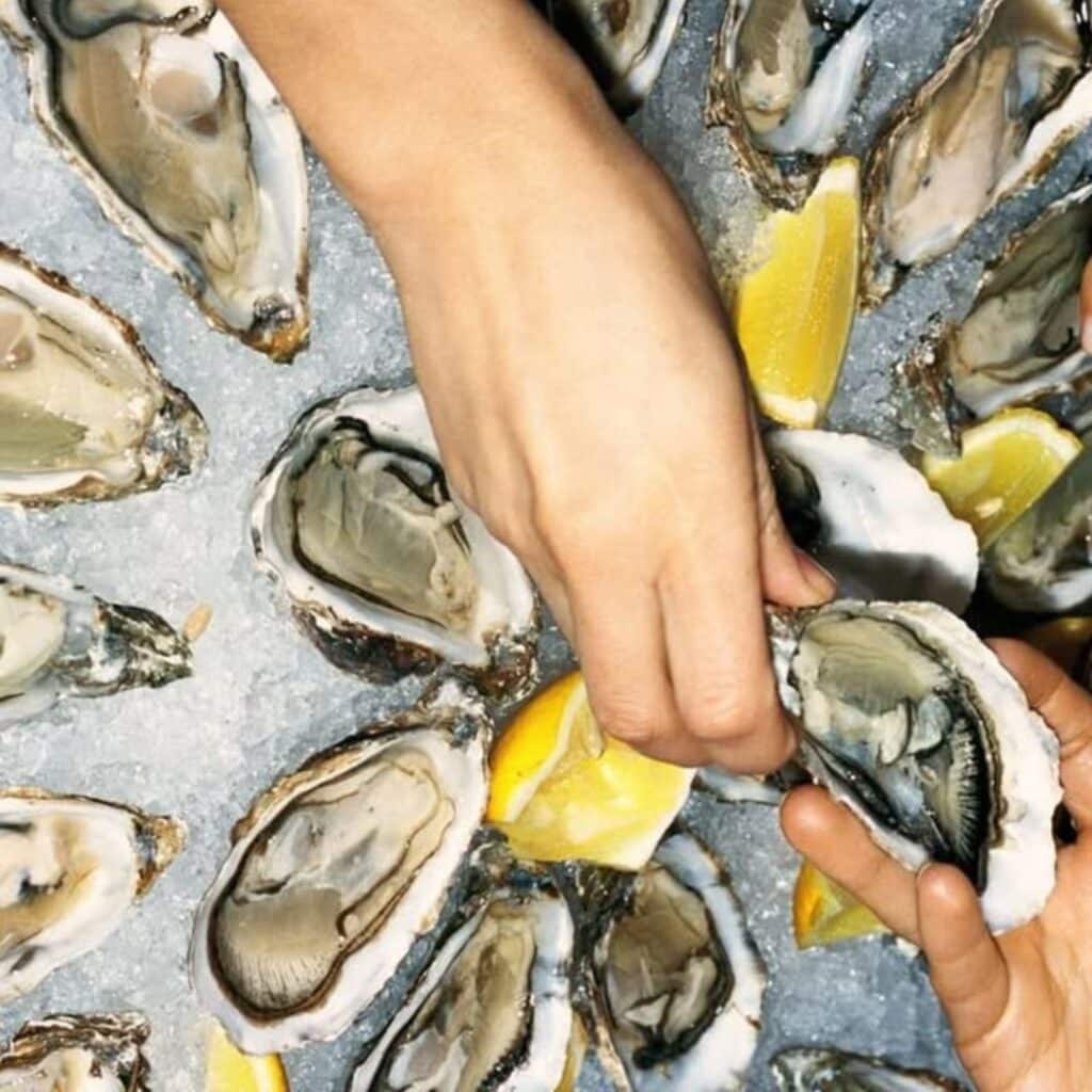 Shuck & Sip