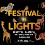 Festival Of Lights