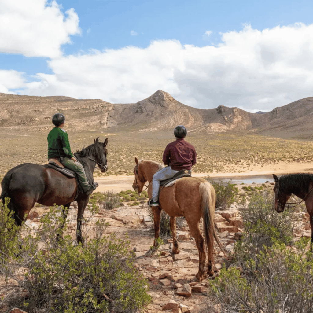 Horseback safari at Aquila