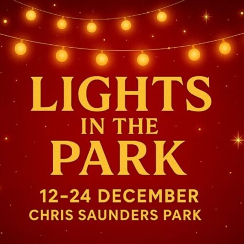 Lights In The Park