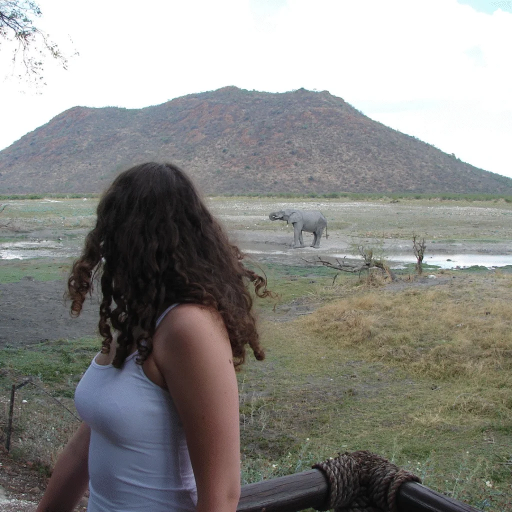 Tau Game Lodge Watering Hole from Chalet