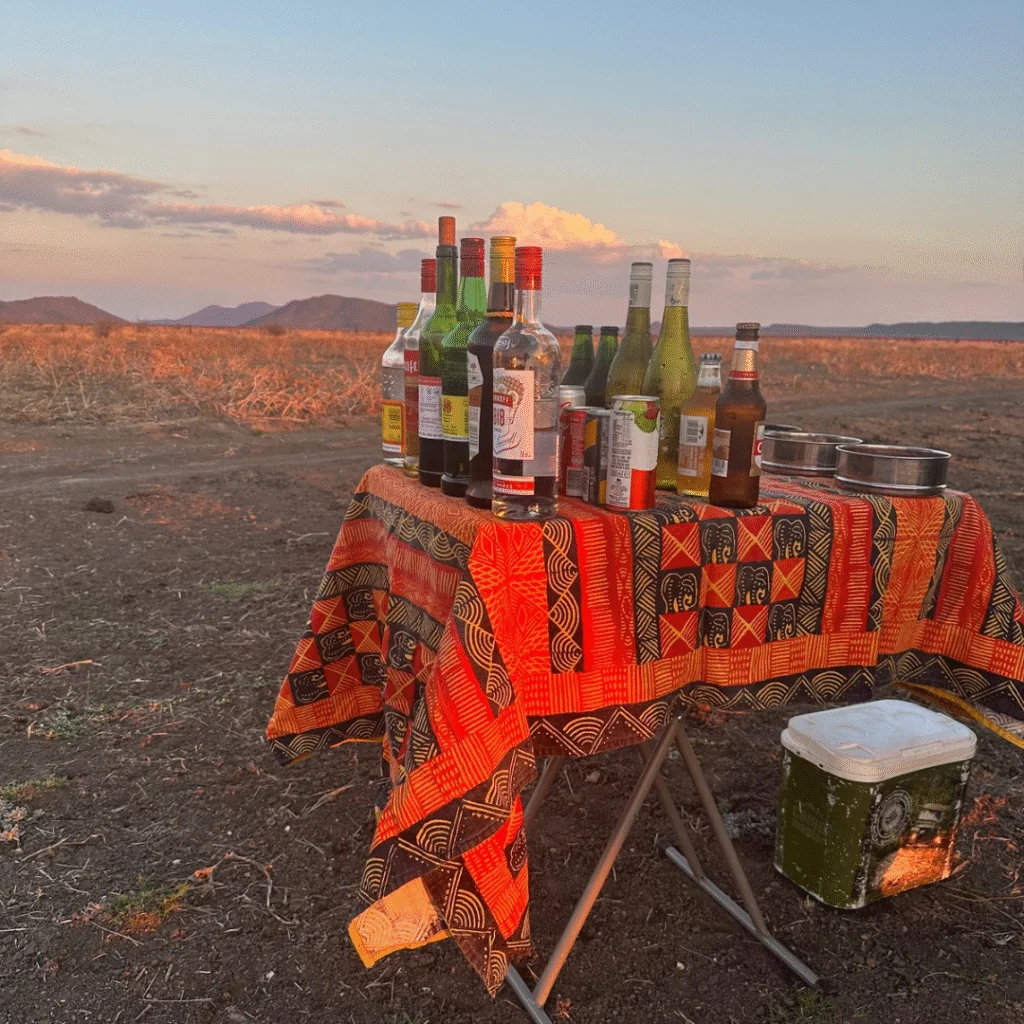 Tau Game Lodge Game Drive