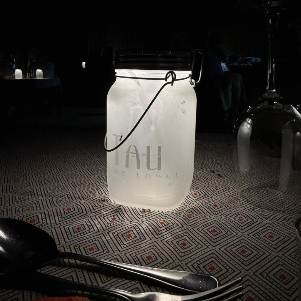 Untitled design - 24