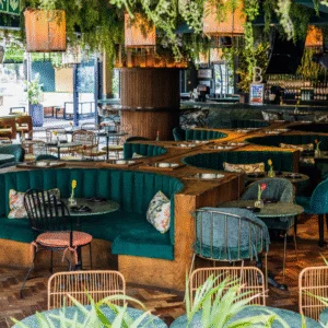 The Greenhouse Sandton Interior