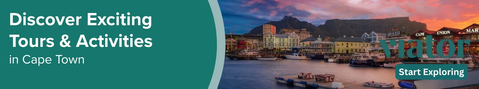 Viator Banner Cape Town