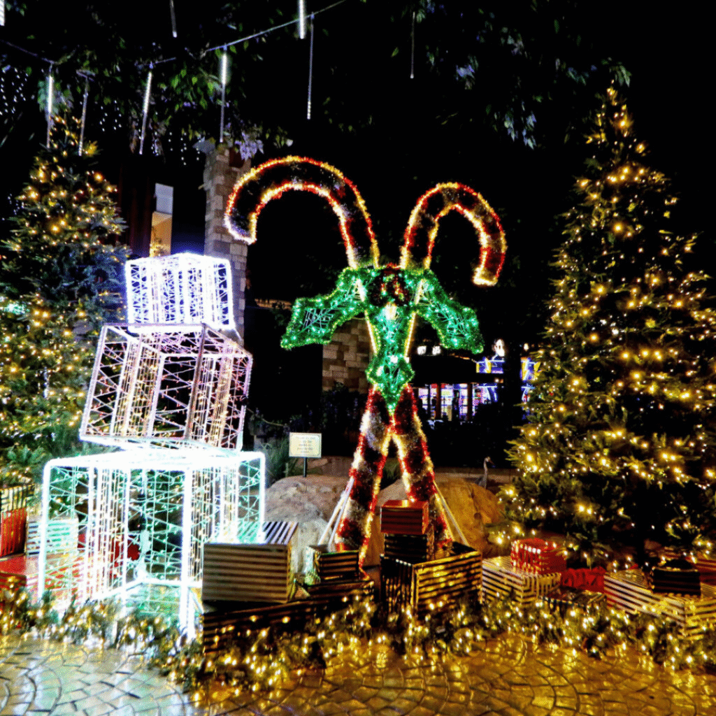 Christmas Lights and Santa Villages across South Africa