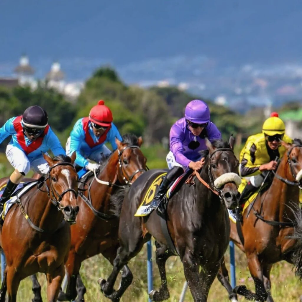 World Sports Betting MET January 2026