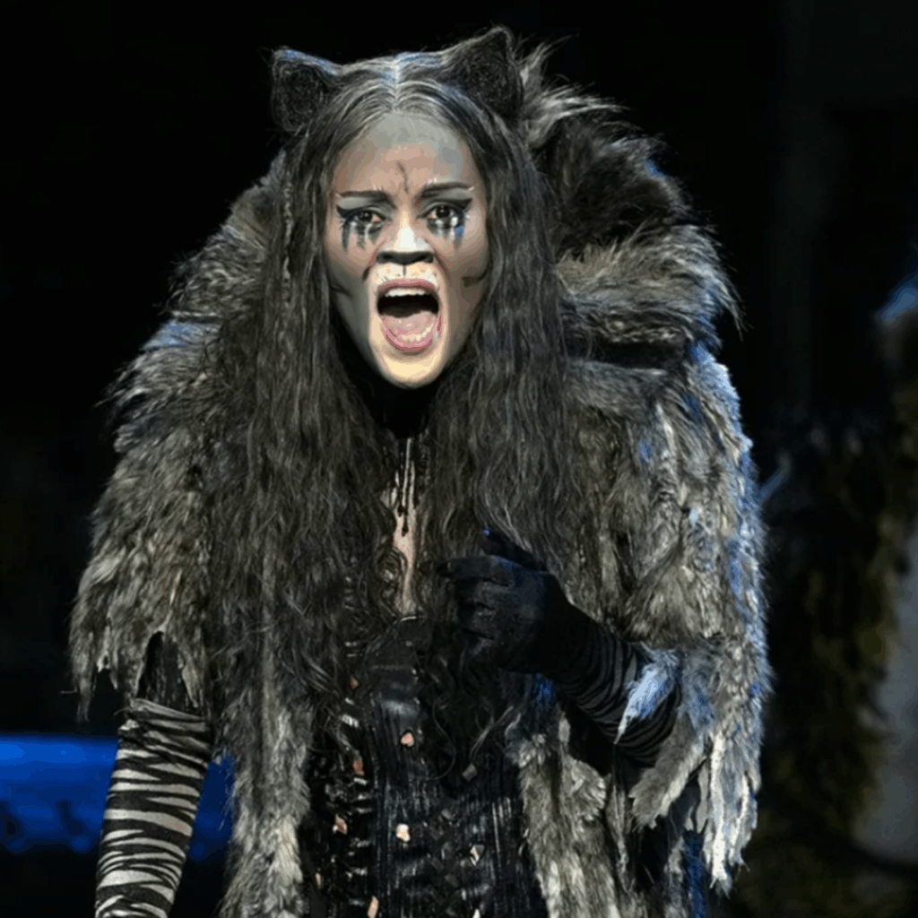 CATS The Musical on stage