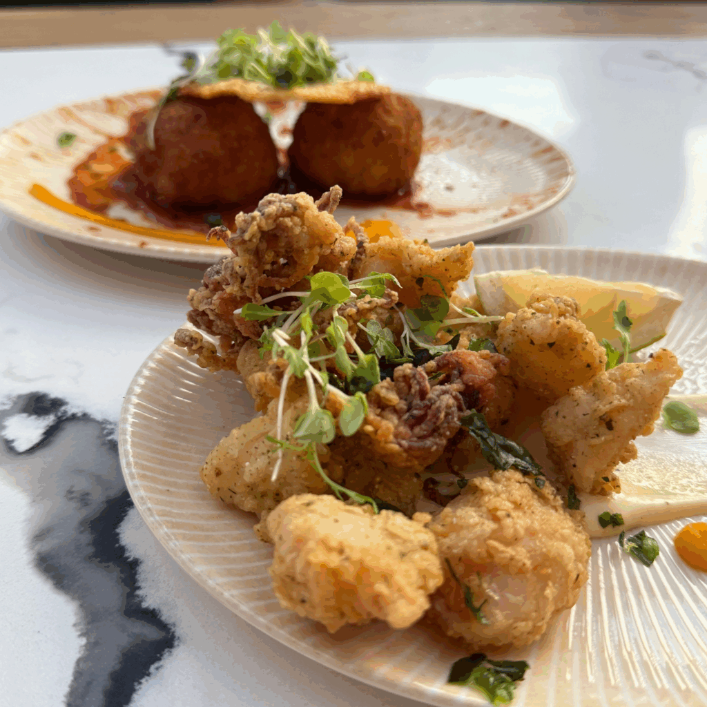 Arancini Balls and Crispy Calamari starter