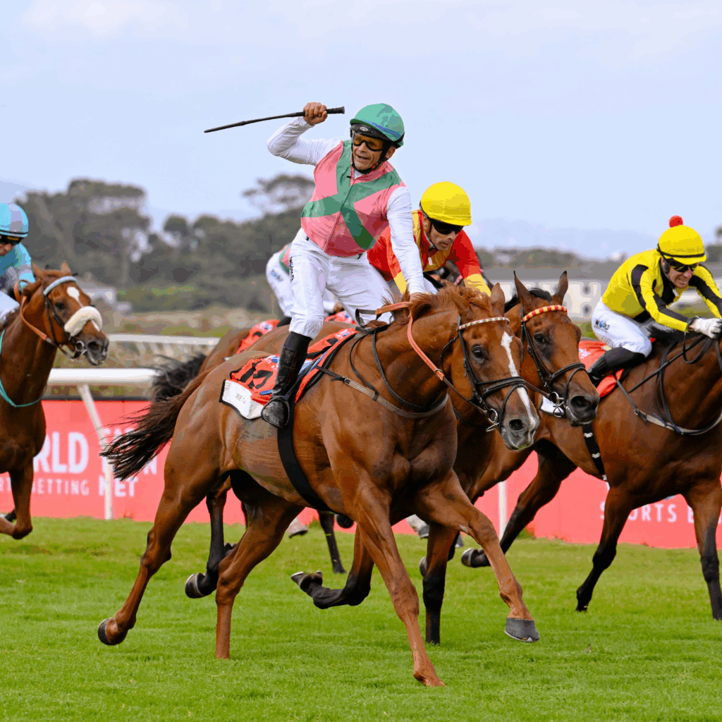 Winner of the World Sports Betting Cape Town Met title race See You Again and Andrew Fortune