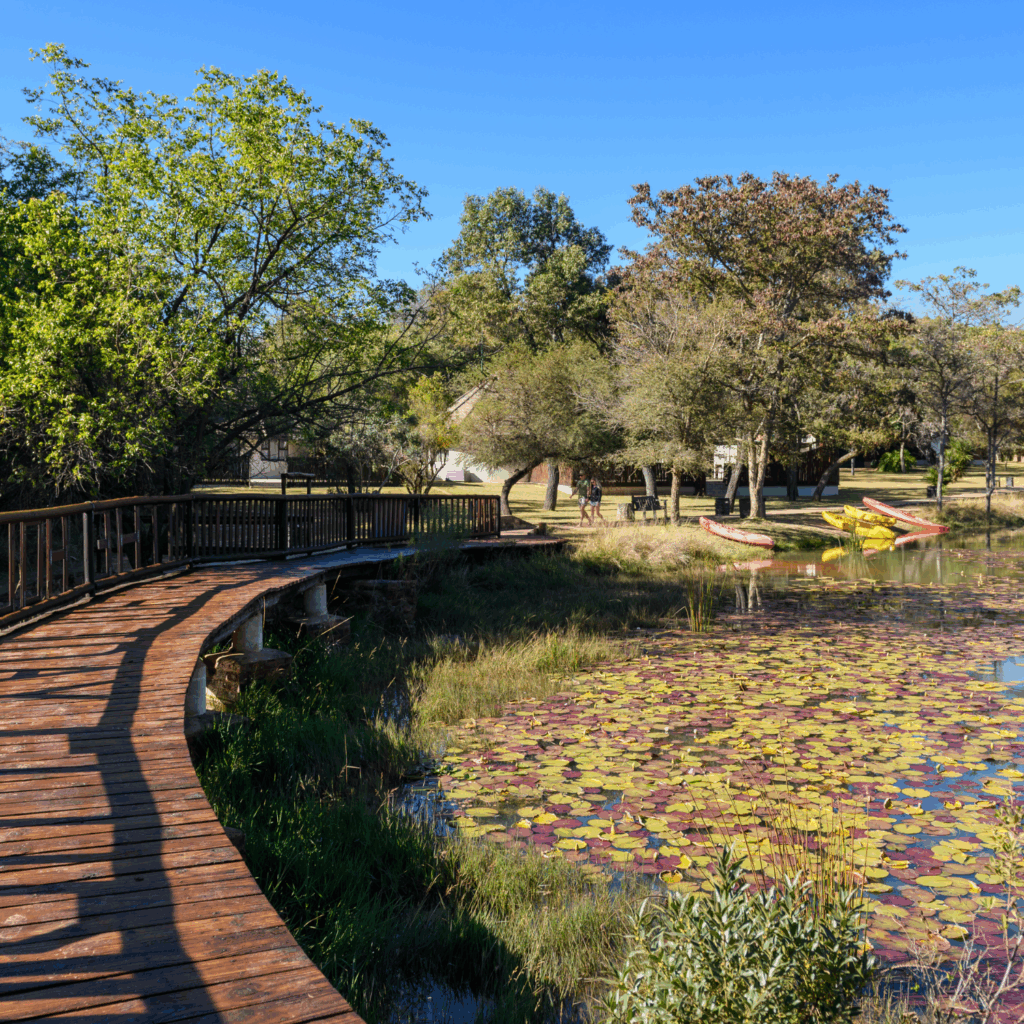 Waterberg Dam Walkway
