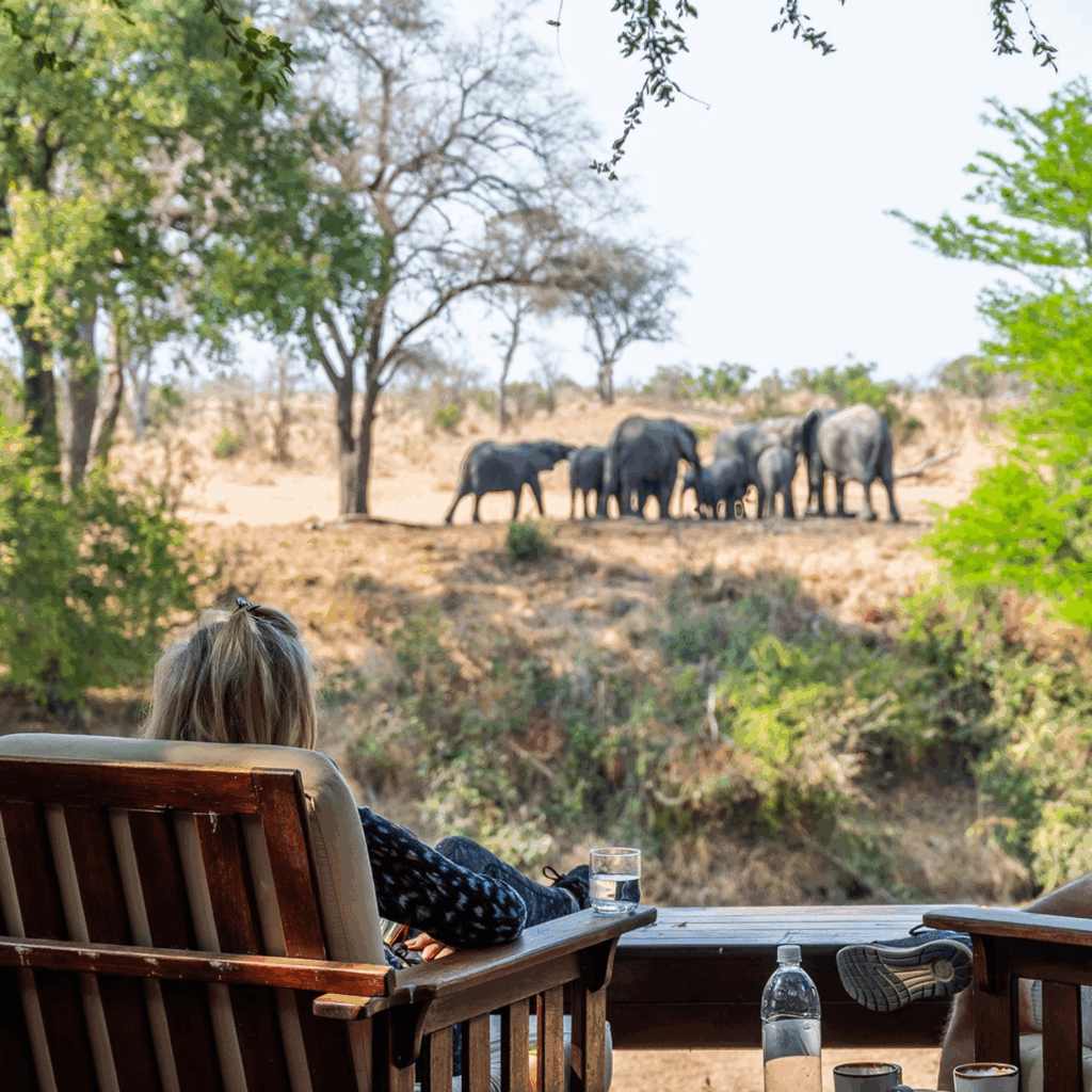 Imbali Safari Lodge Watching elephants from balcony